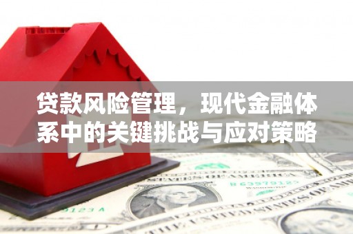 柘城贷款风险管理，现代金融体系中的关键挑战与应对策略