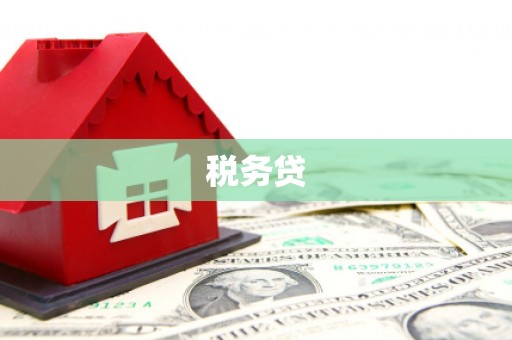 柘城税务贷