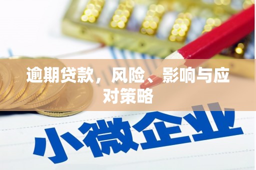 柘城逾期贷款，风险、影响与应对策略