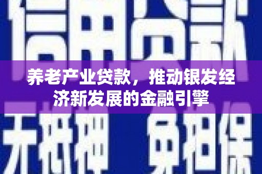 柘城养老产业贷款，推动银发经济新发展的金融引擎