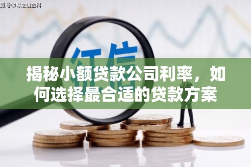 柘城揭秘小额贷款公司利率，如何选择最合适的贷款方案
