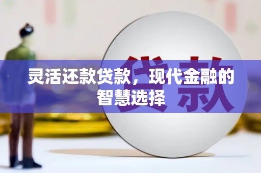 柘城灵活还款贷款，现代金融的智慧选择