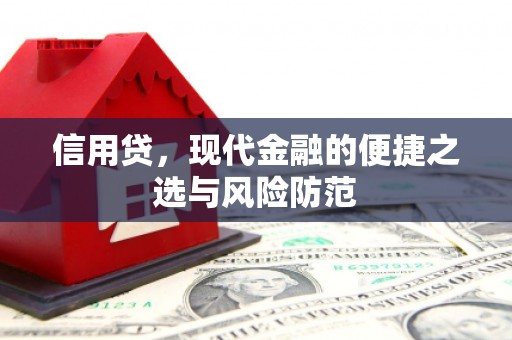 柘城信用贷，现代金融的便捷之选与风险防范