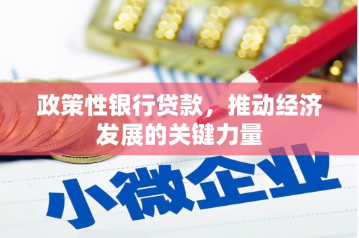 柘城政策性银行贷款，推动经济发展的关键力量