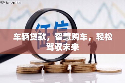 柘城车辆贷款，智慧购车，轻松驾驭未来
