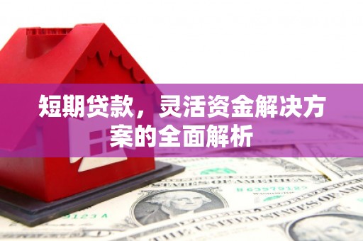 柘城短期贷款，灵活资金解决方案的全面解析