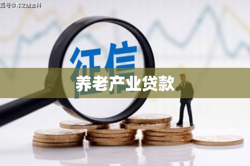 柘城养老产业贷款