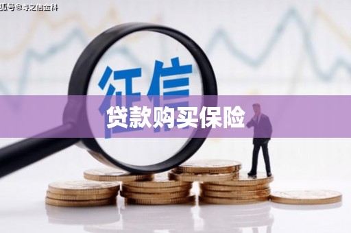 柘城贷款购买保险