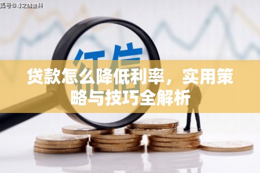 柘城贷款怎么降低利率，实用策略与技巧全解析