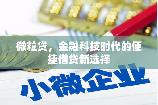 柘城微粒贷，金融科技时代的便捷借贷新选择
