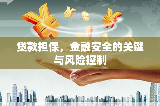 柘城贷款担保，金融安全的关键与风险控制