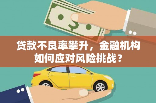 柘城贷款不良率攀升，金融机构如何应对风险挑战？