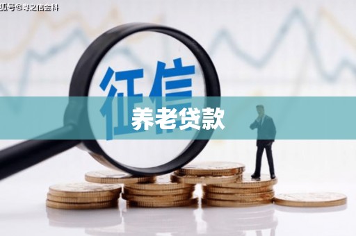 柘城养老贷款
