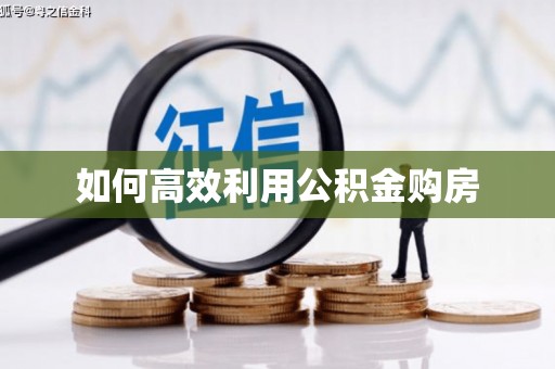 柘城如何高效利用公积金购房