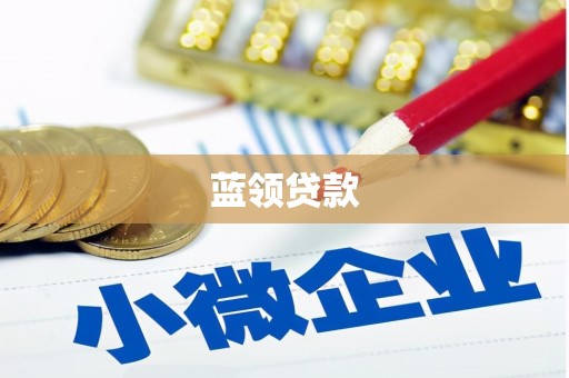 柘城蓝领贷款
