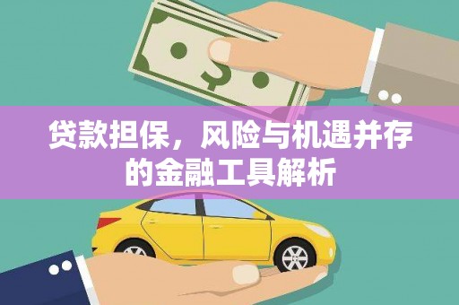柘城贷款担保，风险与机遇并存的金融工具解析