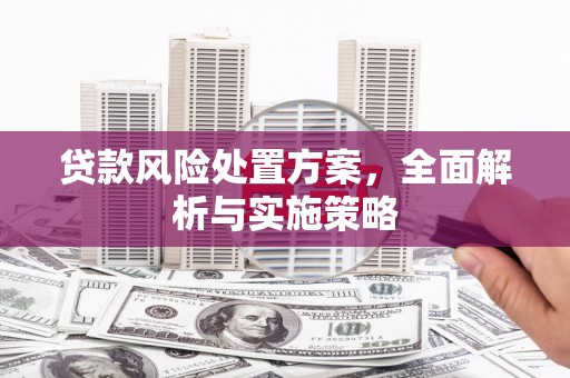 柘城贷款风险处置方案，全面解析与实施策略