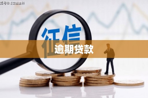 柘城逾期贷款