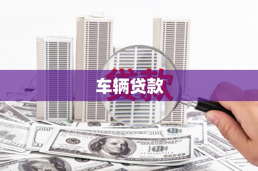 柘城车辆贷款